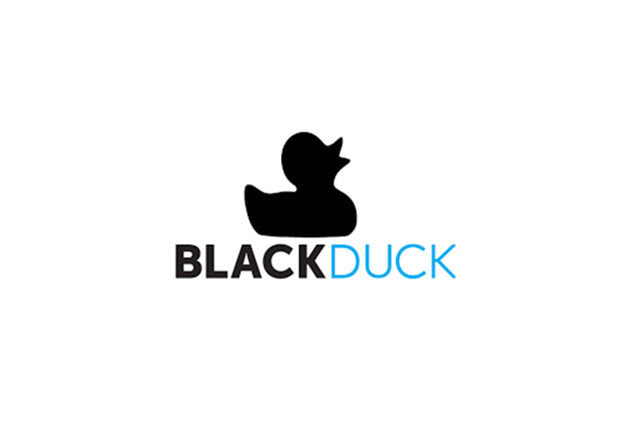 Black Duck Hub'ın Yerleşik MadCap Flare Belge Dosyalarındaki Güvenlik Açığı